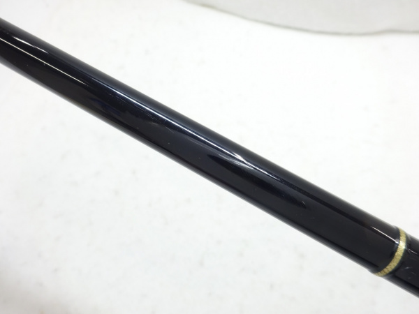 アーリープラス100M